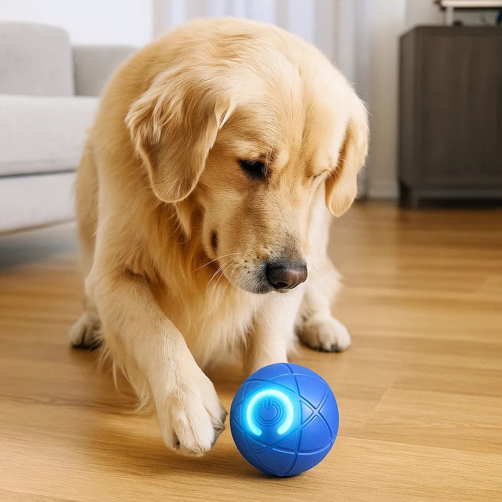 Gioco Interattivo Per Cani